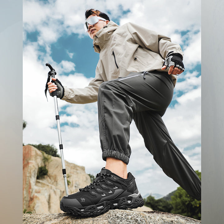 Rex Hiker