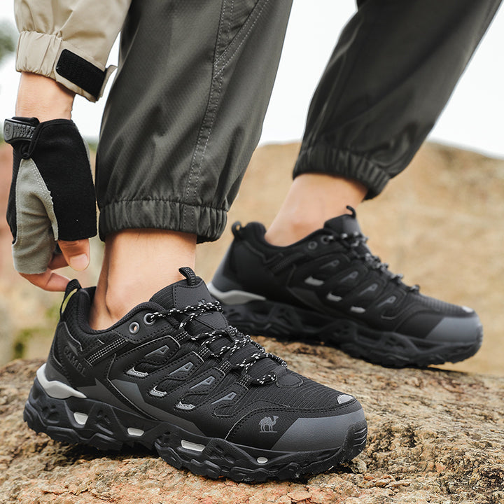 Rex Hiker